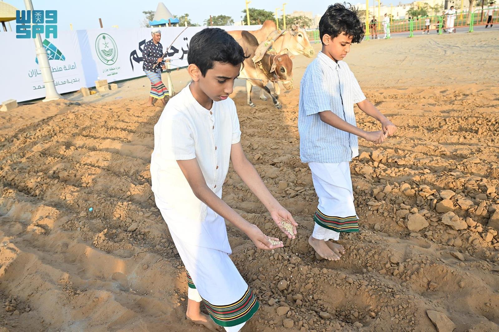 مهنة الحراثة قديماً تلفت انتباه زوار مهرجان "عذق 4"