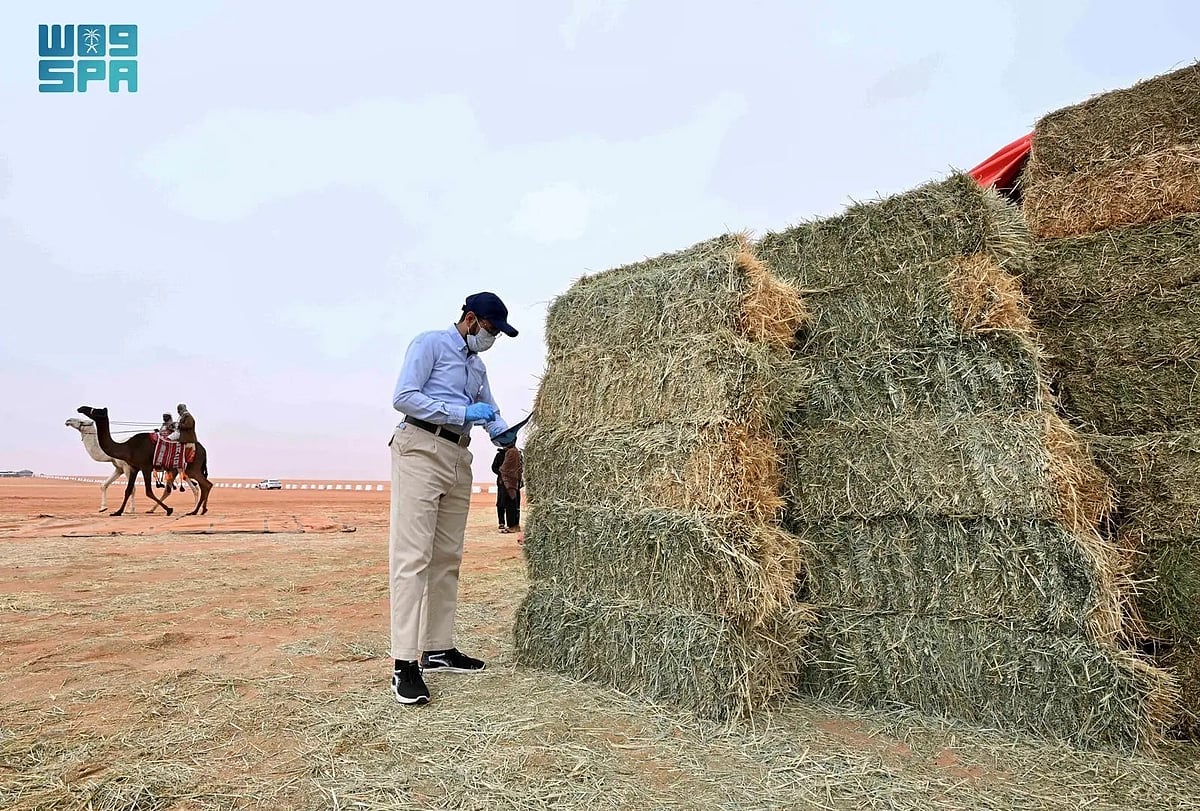  الغذاء والدواء تنفذ 39 زيارة رقابية بمهرجان الإبل للتأكد من سلامة الأعلاف المتداولة