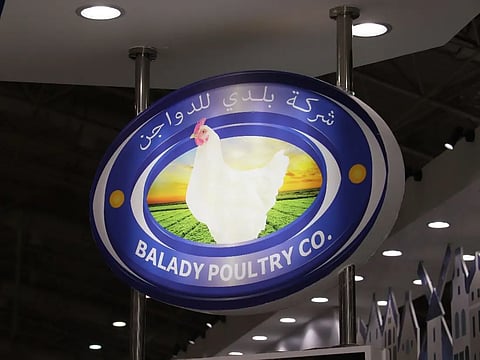 شركة بلدي للدواجن 