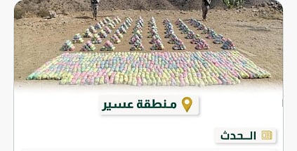  حرس الحدود بعسير يحبط تهريب 356 كيلوجرامًا من نبات القات المخدر