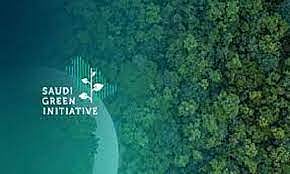«العاصمة المقدسة»: 900 ألف متر مسطحات و294 حديقة عامة ضمن مبادرة «السعودية الخضراء»
