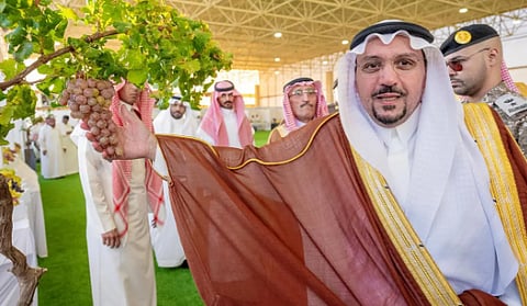 الأمير فيصل بن مشعل يزور مهرجان العنب بالقصيم ويطلع على إنتاج 100 مزرعة