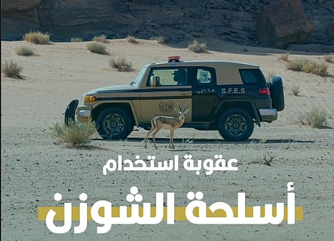 الأمن البيئي