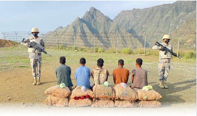 القبض على 5 مخالفين بمنطقة جازان لتهريبهم 150 كيلوجرامًا من نبات القات المخدر