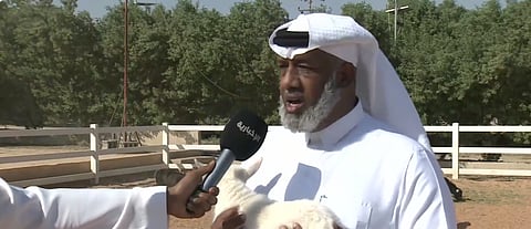 رئيس رابطة هجر للماعز يحدد معايير تقييم أسعاره