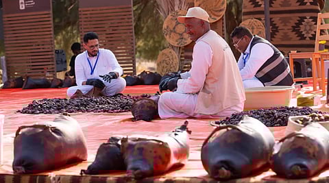 «الشنة» إحدى الوسائل التراثية لحفظ التمور تجذب زوار موسم تمور العُلا