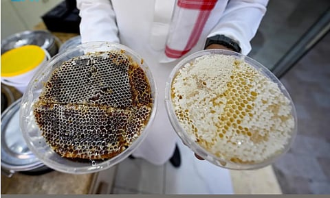 سوق البلد التاريخي.. 100 عام في بيع عسل أودية الطائف وجبالها