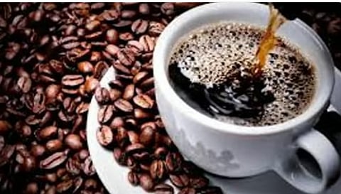 خالد النمر: ننصح الأطفال وكبار السن بالابتعاد قدر الإمكان عن شرب القهوة