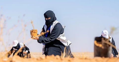 إطلاق مبادرة لزراعة 100 ألف شجرة في محمية الملك سلمان الملكية