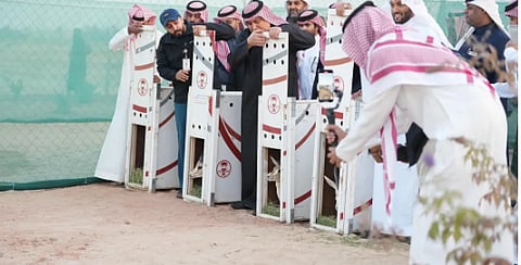 جامعة الملك فيصل تُدشن مبادرة لإطلاق عددٍ من الكائنات الفطرية المُهددة بالانقراض
