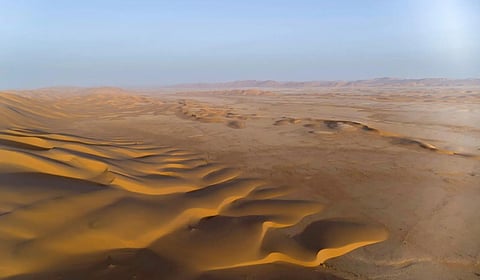 محمية عروق بني معارض.. أيقونة البرية في الجزيرة العربية