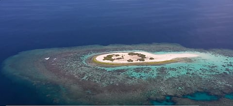 جزر عسير.. لوحة طبيعية جذابة للأهالي والسائحين