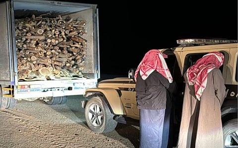 ضبط مخالفين لنظام البيئة لنقلهما حطبًا محليًا في منطقة المدينة المنورة