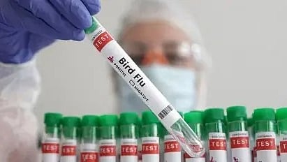 أمريكا تسجل أول حالة وفاة بشرية بإنفلونزا الطيور
