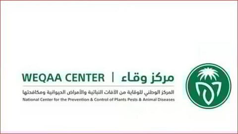 مركز وقاء بمكة المكرمة يكثف جهوده لمكافحة نواقل الأمراض عقب الحالة المطرية