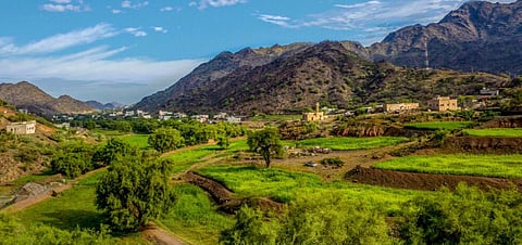 عسير تشارك في قمة "تورايز 2025" لتعزيز حضورها العالمي في صناعة السياحة