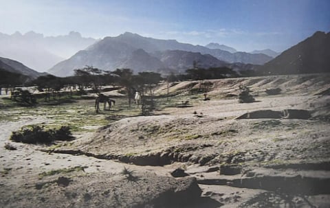 أكاديمي سعودي يوثّق "طريق الحج النبوي" عبر رحلات استكشافية دامت 21 عامًا