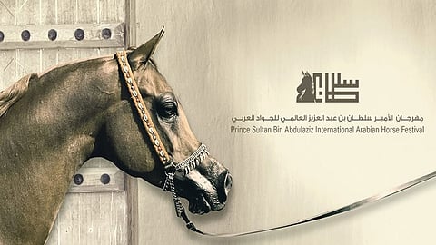 أكثر من 300 رأس بنخبة الجياد العربية الأصيلة في انطلاقة مهرجان الأمير سلطان العالمي للجواد العربي