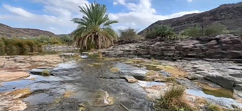 وادي خضرة.. واحة خضراء تتزين بالنخيل