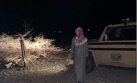 ضبط مخالفًا لنظام البيئة لاقتلاعه الأشجار دون ترخيص في المدينة المنورة