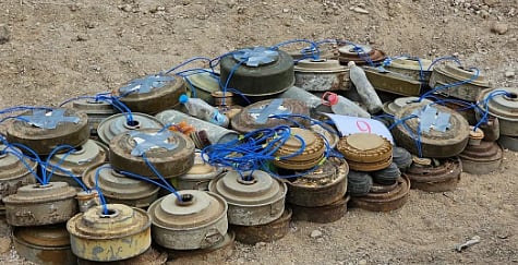 مشروع "مسام" ينتزع 536 لغمًا من الأراضي اليمنية خلال أسبوع