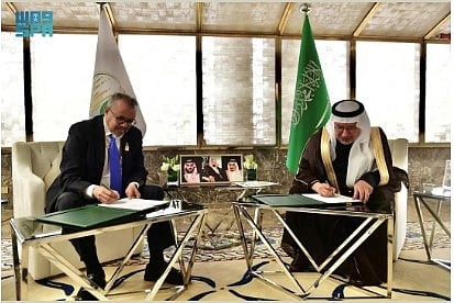 بقيمة 12 مليون دولار.. «سلمان الإغاثي» يوقّع اتفاقية تعاون لمكافحة الملاريا في اليمن 