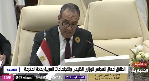  الدكتور بدر عبد العاطي وزير الخارجية المصري