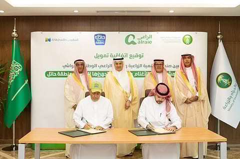  «نادك» تقود استثمارات استراتيجية في قطاع اللحوم الحمراء عبر مشروع ضخم لتربية الأغنام بحائل