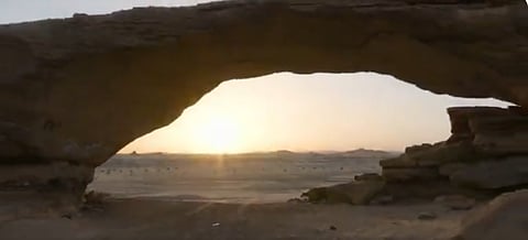 باحث: «عروق بني معارض» من المحميات النادرة عالميًا