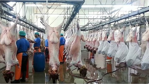 استعدادا لموسم الحج 1446ه‍.. «الخدمات الزراعية» تقف على جاهزيّة المحاجر والمسالخ وأسواق النفع العام