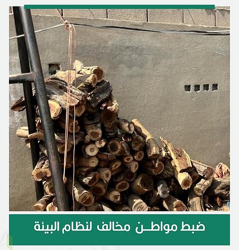 «الأمن البيئي» تضبط مخالفًا لنظام البيئة لاستخدامه حطبًا محليًا في أنشطة تجارية في منطقة مكة المكرمة