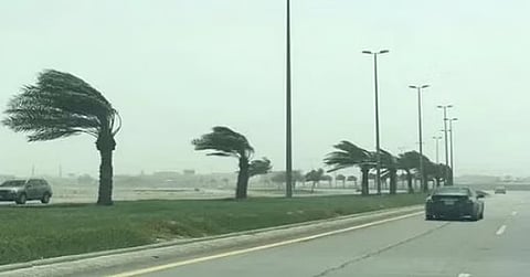 «الأرصاد»: رياح شديدة السرعة على محافظتي جدة ورابغ
