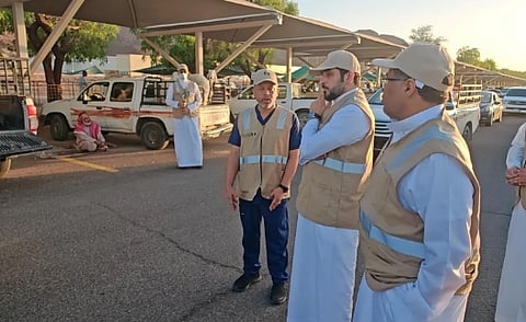 "بيئة المدينة المنورة" تستكمل جاهزية أسواق الأنعام والمسالخ استعدادًا لعيد الأضحى
