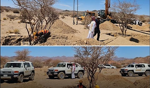 استغرقت نحو 4 أشهر.. نقل دقيق لأشجار معمّرة بالمدينة المنورة لحمايتها ضمن مشاريع الغطاء النباتي