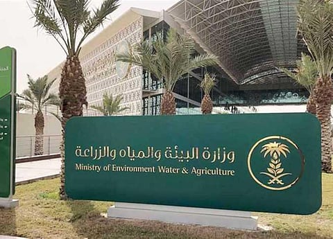 وزارة  البيئة والمياه والزراعة