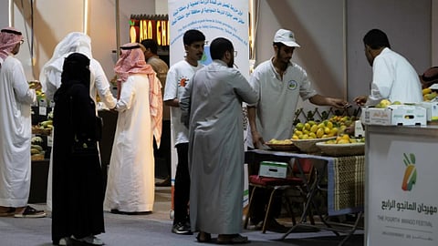 مهرجان "المانجو الرابع" في أملج يختتم فعالياته بأكثر من 14 ألف زائر