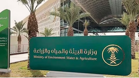 قرار رخص الحواجز وخلجان تجميع مياه الأمطار والسيول.. مسؤول يوضح السبب