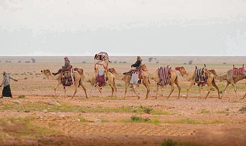 «الشداد».. أداة تراثية تروي عبقرية الإنسان في تطويع الصحراء