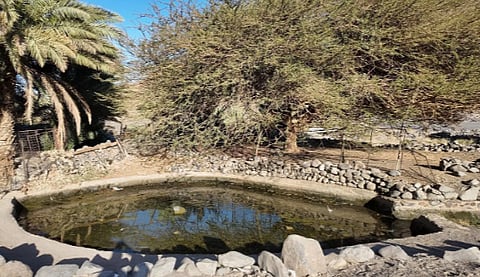 "عين شلال".. ذاكرة جريان وحياة لأهالي ومزارع العُلا