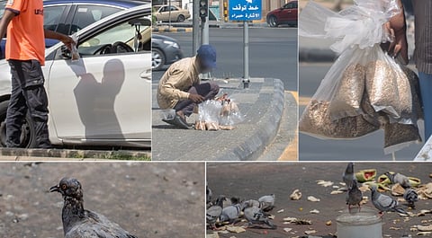 أمانة العاصمة المقدسة تحث على عدم إلقاء الخبز على الأرصفة