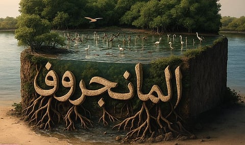 «الغطاء النباتي» يدشّن الهوية البصرية لليوم الدولي لصون النظام الإيكولوجي لغابات المانجروف