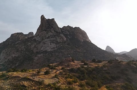 غزال الطائف.. رشاقة الطبيعة ونشاط السياحة 