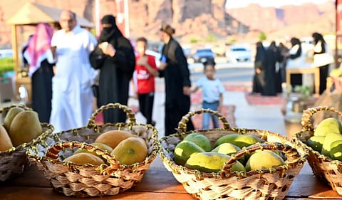  تمديد موسم الفواكه الصيفية في العُلا حتى السبت المقبل