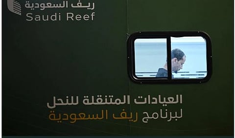 لدعم النحالين.. إطلاق عربتين متخصصتين في مهرجان العسل والمنتجات الزراعية بتبوك