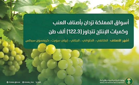 أسواق المملكة تزدان بأجود أصناف العنب وكميات الإنتاج تتجاوز 122.3 ألف طن
