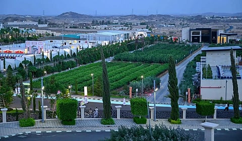 وجهة سياحية جديدة في عسير تجمع الزراعة بالترفيه والثقافة