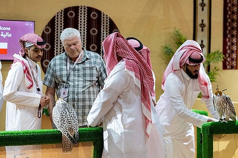 صقارون دوليون يثمنون تسهيلات نادي الصقور في نقل واستضافة الصقور المشاركة بالمزاد الدولي لمزارع الإنتاج