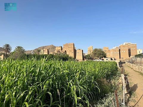 مزارع عسير.. وجهة سياحية تجمع بين التنوع وجمال الطبيعة