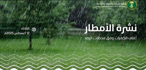 الباحة الأعلى كمية بـ 43.8 ملم.. «البيئة» ترصد هطول أمطار في 6 مناطق