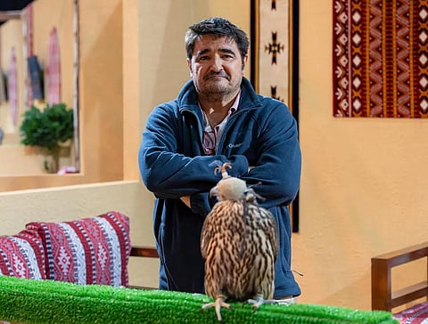 بيرناردو 